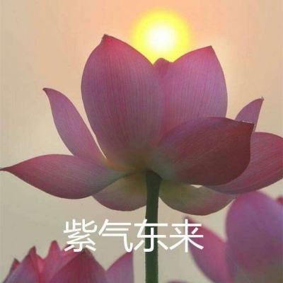 热血足球手游果盘版下载